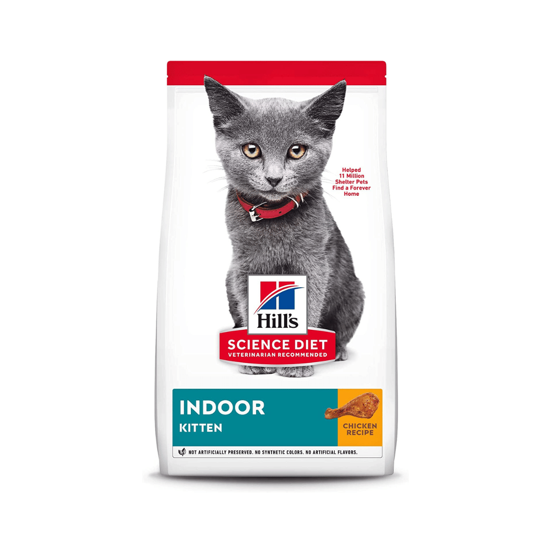 10 Best Kitten Foods