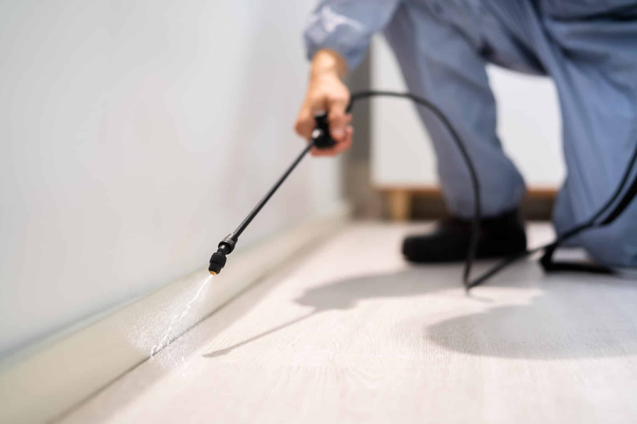 How Much Does Pest Control Service Cost? 2024 Guide