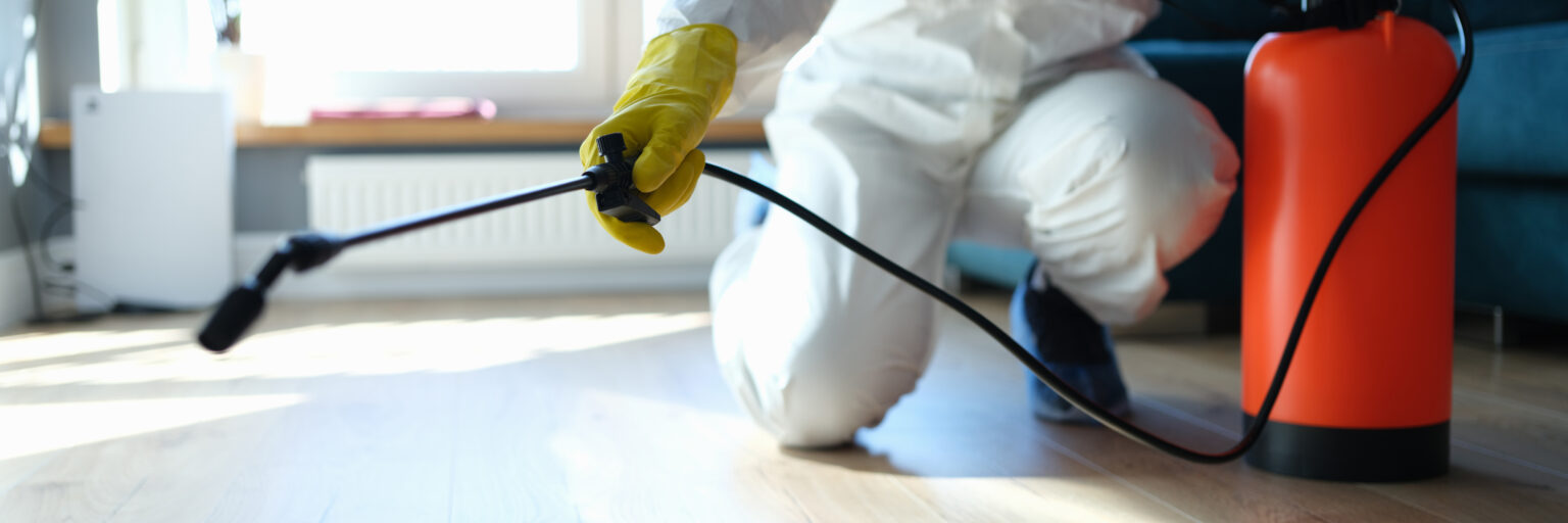 moxie-pest-control-review-2023
